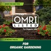 Ortho GroundClear Weed and Grass Killer with Comfort Wand, Kills