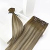 Sunny Hair Clip in Hair Extensions Straight Human Hair Clip