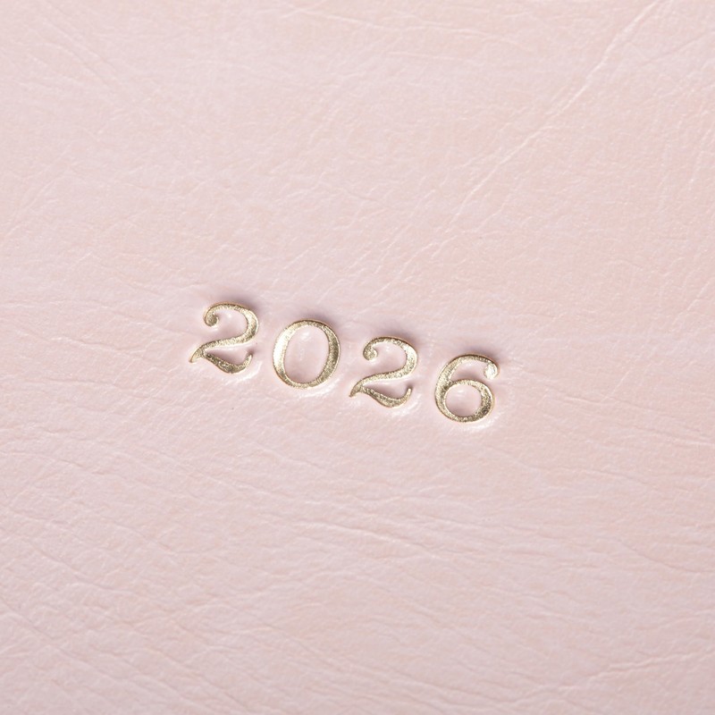 EDiT 26SDR-ETA02-PK 2026 Planner, Starting in April 2026, 1 Page,