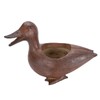 Duck Shaped Planter Resin Waterproof Decorative Animal Flower Pot for