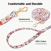 No Pull Dog Harness Adjustable Small pet Harness and Leash