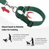 Aiminto Adjustable Nylon Reflective Martingale Dog Collar for Training and