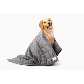 Gravity Premium Original Weighted Dog Blanket, Calming, Relaxation & Anxiety Relief for Pets, Comfortable & Cozy Blanket for Anxious Dogs, Washable, Grey, Large, 47 x 40 in, 6 lbs