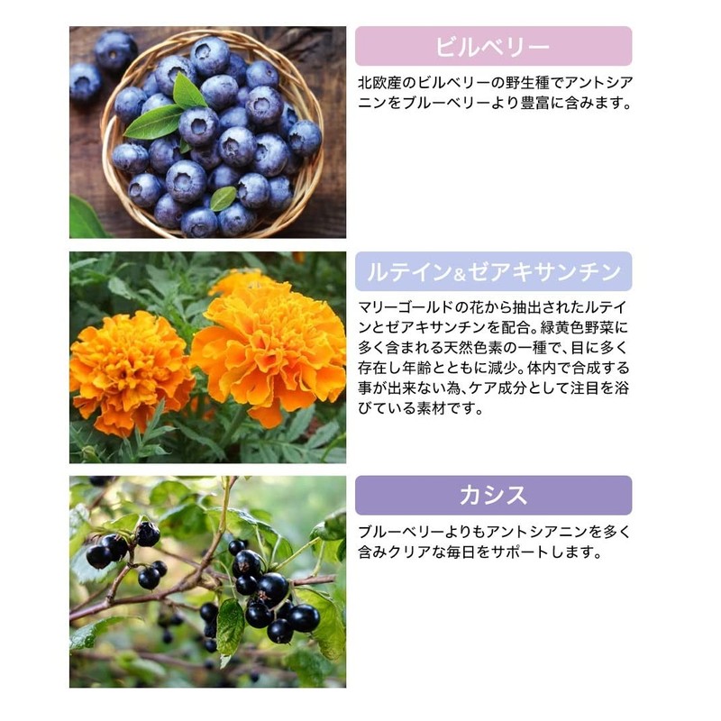 phiten bilberry plus