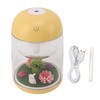 Micro Landscape Humidifier Cute Quiet 2 in 1 Ultrasonic Essential