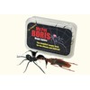 Magic Spider PRO-PACK by My Pet Spider - Trick by