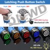 DMWD 5Pcs 19mm Metal Latching Push Button Switch Waterproof 12V-24V