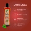 Shampoo Natural Anticaída Árbol Verde Mini 200ml De Romero