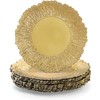 Coloch Set of 12 Plastic Charger Plates, 13" Reusable Reef