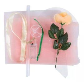 KFMX Globo Luz Led Transparente Con Rosa Kit Para Armar Bouquet