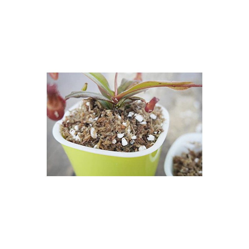 Yilotuce 8 Qts Carnivorous Plant Soil Mix, Great Potting Soil