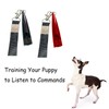 Dinghaole 2pcs Plastic Dog Flute with Lanyard Pet Training Dog