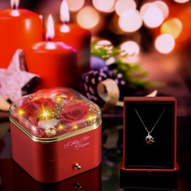 Preserved Red Real Rose with I Love You Necklace, Gifts for Her, Women, Mom, Girlfriend, Preserved Rose Jewelry Box with LED Light for Valentine's Day, Mother's Day, Birthday, Anniversary(Red)