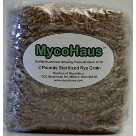 MycoHaus Mushroom Growing Kit | Magic Indoor Grow Bags for Mushrooms | Shroom Home Cultivation Magic Supplies | Without Spores | 2 Pound (1 Pack)
