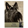 Scottie/Scottish Terrier Dog Birthday Card