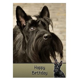 Scottie/Scottish Terrier Dog Birthday Card