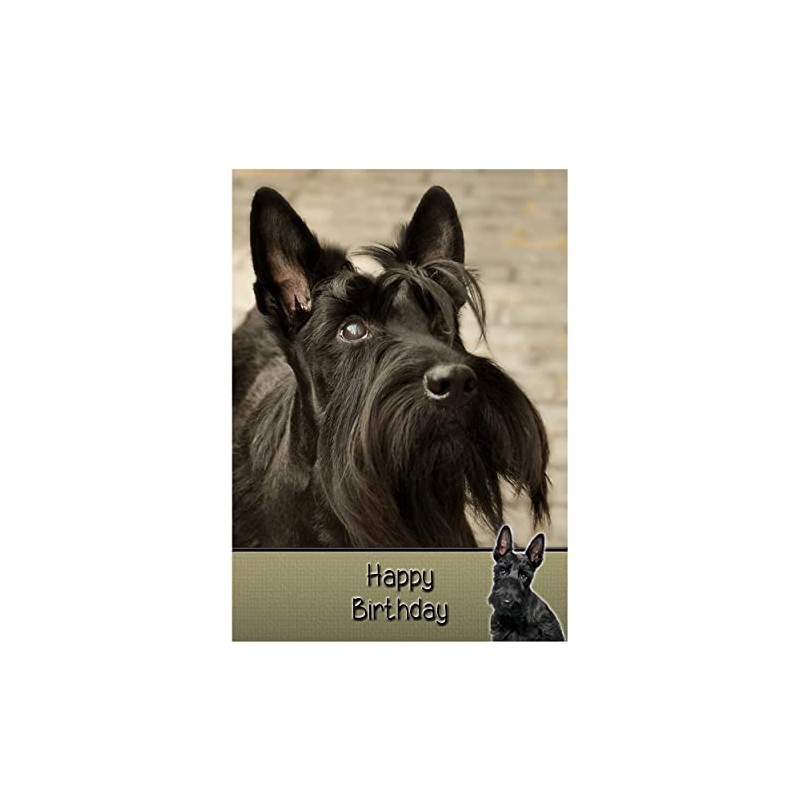 Scottie/Scottish Terrier Dog Birthday Card