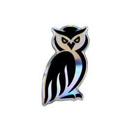 Quattroerre 14042 Sticker 3d Owl