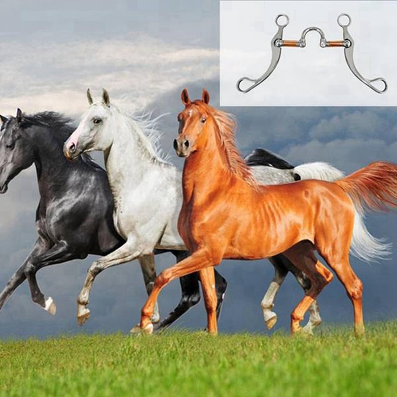 Daiilg Stainless Steel Snaffle Bit Horse Bits Western Snaffle Bits