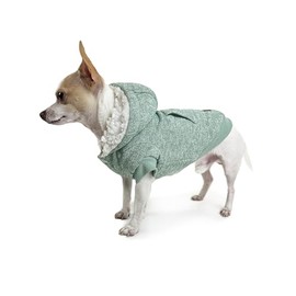 Huskimo Mt Snowy Dog Hoodie, Eucalyptus, 27cm