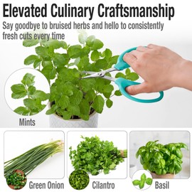 Beaditive Culinary Herb Scissors - Compact 6.5-Inch Stainless Steel Kitchen Scissors - Dishwasher Safe - Sharp Tip for Snipping Fresh Herbs
