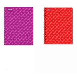 Norma 2 Cuadernos Norma Frances Doble Espiral Metálico C.grande 7m