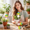 11 oz Large Plant Watering Globes, Glass Self Watering Globes,