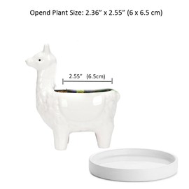 Lependor Cute Alpaca Succulent Planter Pot with Drainage Tray, White Ceramic Cactus/Flower Container, Animal Llama Bonsai Holder for Indoor Plants - White