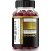 DORADO NUTRITION Pure Shilajit 1000mg 60 Gummies Asphaltum Naturally Occurring