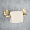 Toilet Roll Holder, NEWRAIN Bathroom Toilet Roll Holder Wall Mounted,