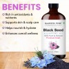 Black Seed Essential Oil | 100% Pure and Natural |