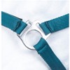 HKM by Reiterladen24 Basicline Lined Headcollar Petrol Warmblood