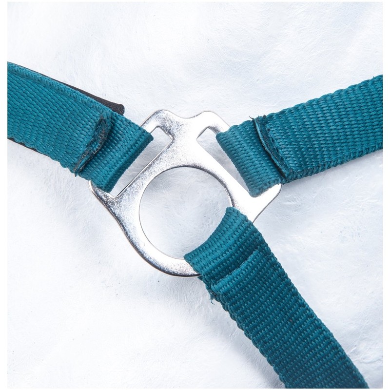 HKM by Reiterladen24 Basicline Lined Headcollar Petrol Warmblood