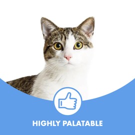 DotDotPet Multifit Gummy Cat Supplements | Boost Immunity, Gut Health, Healthy Joints & Senior Cats | Pork Flavoured natural contain Essential Proteins, Vitamins & Minerals