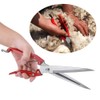 Haofy Manual Sheep Shearing, Goat and Sheep Wool Trimmers Stainless