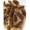 Hawaii bobs garden art 15 Brown Cones Rustic Baskets