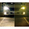 Bunny Walk BW-024 BW-0243Y Gunmetal YELLOW Night Driving Night Fishing