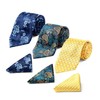 HISDERN Lot 3 PCS Classic Men's Silk Tie Set Necktie