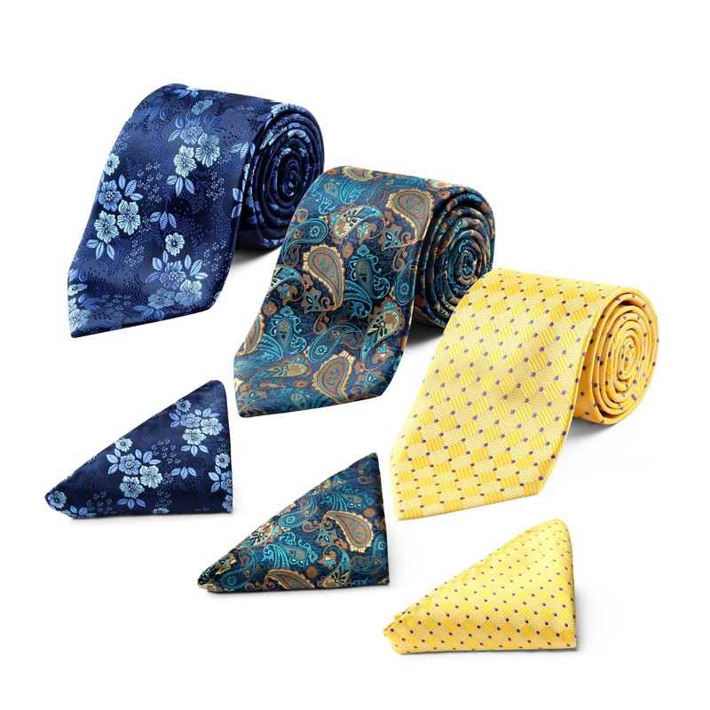 HISDERN Lot 3 PCS Classic Men's Silk Tie Set Necktie