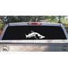 Snook Decal in Black or White 10"X3" / White Facing