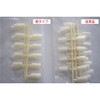 ST Model Hand Nail Tip (JNEC 1st Stage Certified Model