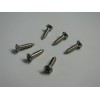 Unbranded BACKPLATE TREMOLO COVER STAINLESS STEEL SCREWS (6)