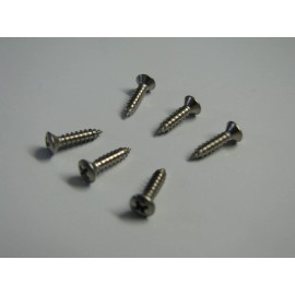 Unbranded BACKPLATE TREMOLO COVER STAINLESS STEEL SCREWS (6)