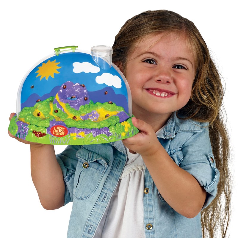 Insect Lore Live Ladybug Growing Kit | Ladybug Land Habitat