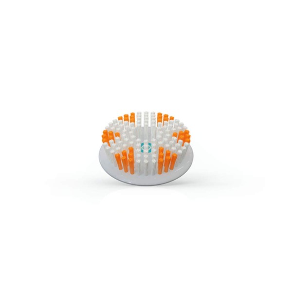 TAO Clean Replacement Exfoliator Brush Head, Replacement Head (1 Head)