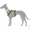 London Vario Rapid Harness Olive Size XXS-XS