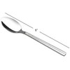 Saedy 12-Piece Tea Spoon Set, Small Coffee Spoon Stainless Steel,