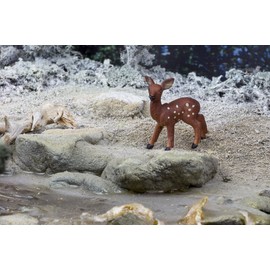 Safari Ltd. North American Wildlife Collection - Whitetail Fawn Figurine Non-toxic and BPA Free