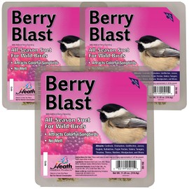 Heath Outdoor Products Berry Blast Suet Cakes Sample Pack, Contains 3 Suet Cakes, Try It, Your Birds Will Love it, for Woodpeckers, Cardinals, Siskins, Sparrows, Finchs & Many More Wild Bird Species