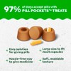 Greenies Pill Pockets for Dogs Large Size, Dog Treat Pouch